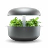 POTAGER DE CUISINE Plantui - Smart Garden -  3 COULEURS AU CHOIX