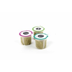 ProCouteaux - Capsules Plantui - Herbes aromatiques - Menthe, Capsules Menthe pour votre PlantuiCapsules Plantui - Herbes aromatiques - Menthe - La satisfaction de cultiver ses propres herbes. Cultivez vos aromates à l'intérieur toute l'année.Chaque boîte de capsules contient : - 1 lot de 3 capsules- 1 boite de nutriment avec cuillère doseuse (pour 1 litre d'eau) Toute les gamme de capsules Plantui 