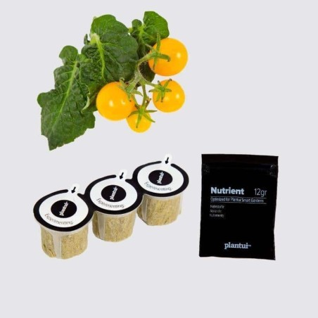 ProCouteaux - Capsules Plantui - Tomates cerise jaune, Des tomates cerise pour votre potager de cuisine !Capsules Plantui - tomates cerise -Cultivez vos tomates cerises directement sur votre table dans la cuisine ! Parfait pour un apéritif réussi !Chaque boîte de capsules contient : - 1 lot de 3 capsules- 1 boite de nutriment avec cuillère doseuse (pour 1 litre d'eau) Toute la gamme de capsules PlantuiPour être certain d'une belle croissance de votre plant, optez pour le bloc hauteur boosting light pour renforcer les sources de lumières. ProCouteaux - Capsules Plantui - Tomates cerise jaune, Des tomates cerise pour votre potager de cuisine !Capsules Plantui - tomates cerise -Cultivez vos tomates cerises directement sur votre table dans la cuisine ! Parfait pour un apéritif réussi !Chaque boîte de capsules contient : - 1 lot de 3 capsules- 1 boite de nutriment avec cuillère doseuse (pour 1 litre d'eau) Toute la gamme de capsules PlantuiPour être certain d'une belle croissance de votre plant, optez pour le bloc hauteur boosting light pour renforcer les sources de lumières.