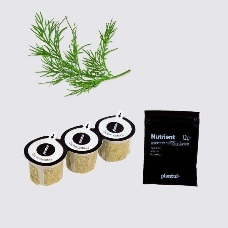 Capsules Plantui - Herbes aromatiques - Aneth - procouteaux