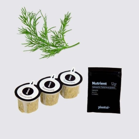 Capsules Plantui - Herbes aromatiques - Aneth - procouteaux Capsules Plantui - Herbes aromatiques - Aneth - procouteaux