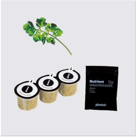 Capsules Plantui - Cresson - procouteaux Capsules Plantui - Cresson - procouteaux