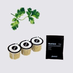 Capsules Plantui - Herbes aromatiques - Coriandre