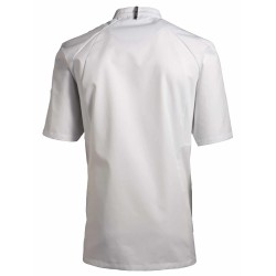 Veste de cuisine KENTAUR - Cyril - Manches courtes - blanc - GRANDE TAILLE - Procouteaux