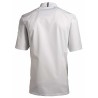 Veste de cuisine KENTAUR - Cyril - Manches courtes - blanc - GRANDE TAILLE
