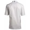 Veste de cuisine KENTAUR - Cyril - Manches courtes - blanc - GRANDE TAILLE - Procouteaux