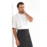 Veste de cuisine KENTAUR - Cyril - Manches courtes - blanc - GRANDE TAILLE - Procouteaux