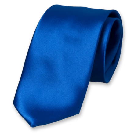 Cravate en polyester - Bleu - Service - Procouteaux